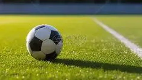 霍勒迪、霍福德、普理查德集体爆发，攻防双线得分均超20分